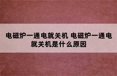 电磁炉一通电就关机 电磁炉一通电就关机是什么原因